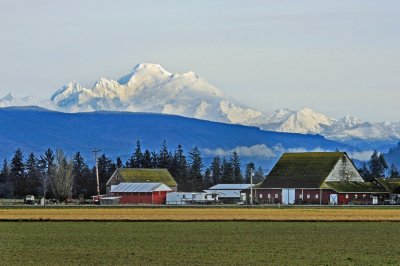 In The Shadow Of Mt. Baker
