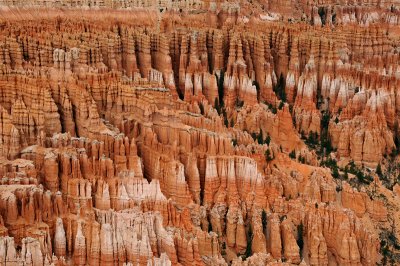 Bryce Canyon Hoodoos