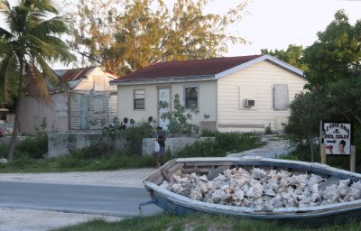 TC183.jpg