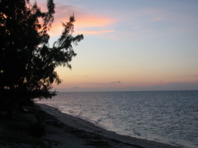 TC191.jpg