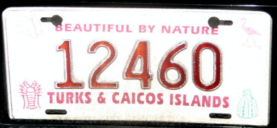 TC195.jpg