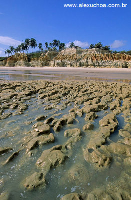 Lagoa do Mato.jpg