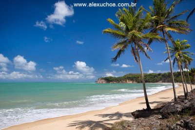 Baa dos Golfinhos, Praia da Pipa, Tibau do Sul, Rio Grande do Norte 0716.jpg