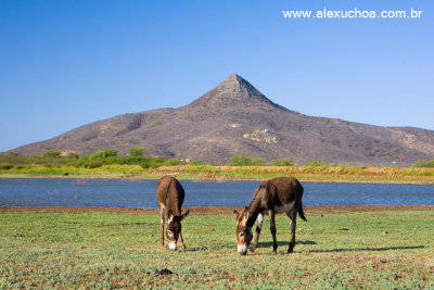 Pico do Cabugi, Lages, Rio Grande do Norte 0341.jpg