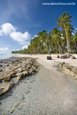 Praia dos Carneiros, Rio Formoso, Pernambuco 9484.jpg