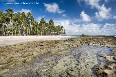 Praia dos Carneiros, Rio Formoso, Pernambuco 9520.jpg