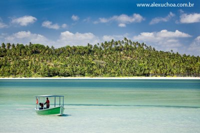 Praia dos Carneiros, Rio Formoso, Pernambuco 9461.jpg