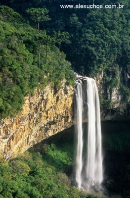 cachoeira do caracol canela Rio Grande do Sul.jpg