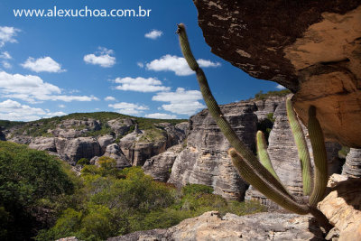 Caldeiro dos Rodrigues, Serra da Capivara, Piaui_5789.jpg