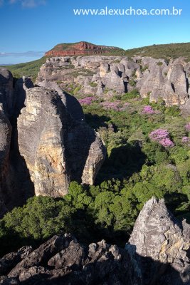 Canoas, Serra da Capivara, Piaui_5878.jpg