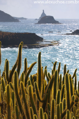 Praia do Sueste, Fernando de Noronha, Pernambuco 9031 090916.jpg