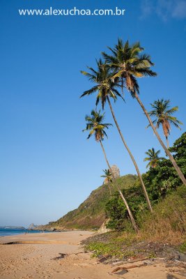 Praia do Boldro, Fernando de Noronha, Pernambuco 7843 090912.jpg