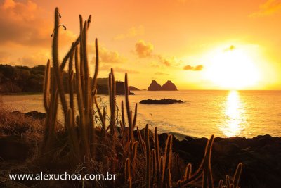 Praia do Boldro, Fernando de Noronha, Pernambuco 7869 090912.jpg