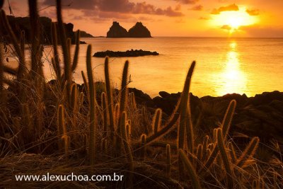 Praia do Boldro, Fernando de Noronha, Pernambuco 7877 090912.jpg