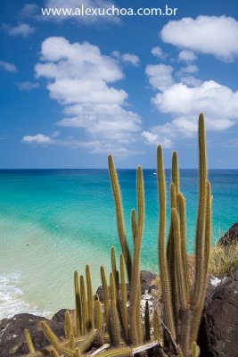 Cacimba do Padre, Morro dois irmaos, Fernando de Noronha, Pernambuco 9893 090919.jpg