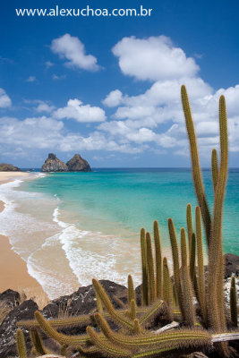 Praia do Bode, Cacimba do Padre, Morro dois irmaos, Fernando de Noronha, 9912 090919.jpg