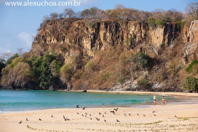 Praia do Sancho, Fernando de Noronha, Pernambuco 9173 090916.jpg