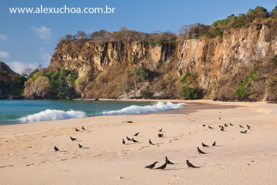 Praia do Sancho, Fernando de Noronha, Pernambuco 9182 090916.jpg