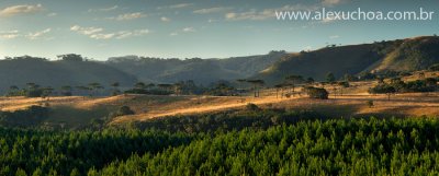 Campos de Cima da Serra, Jaquirana, Rio Grande do Sul, 2010-03-17 6859.jpg