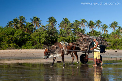 Icarai de Amontada, Amontada, Ceara, 5343, 20100626.jpg