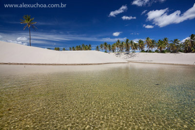 Lagoa da Pinguela, Barrinha, Acarau, Ceara, 6097.jpg