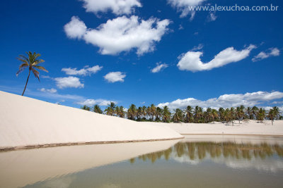 Lagoa da Pinguela, Barrinha, Acarau, Ceara, 6102.jpg