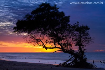 Praia de Aranau, Acarau, Ceara, 5855v2.jpg