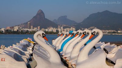 Lagoa-Rodrigo-Freitas-Rio_3671