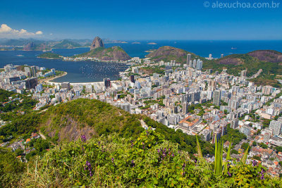 Baia-da-Guanabara-Mirante-Dona-Marta-Rio-de-Janeiro-120309-9078.jpg