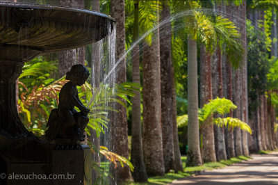 Jardim-Botanico-Rio-de-Janeiro-120313-0970.jpg