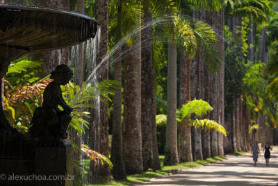 Jardim-Botanico-Rio-de-Janeiro-120313-0971.jpg