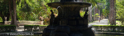 Jardim-Botanico-Rio-de-Janeiro-120313-0982.jpg