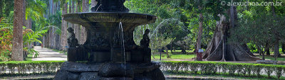 Jardim-Botanico-Rio-de-Janeiro-120313-0998.jpg