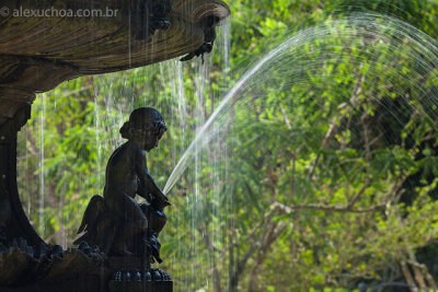 Jardim-Botanico-Rio-de-Janeiro-120313-1003.jpg