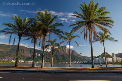 Lagoa-Rodrigo-de-Freitas-Rio-de-Janeiro-120310-9361.jpg