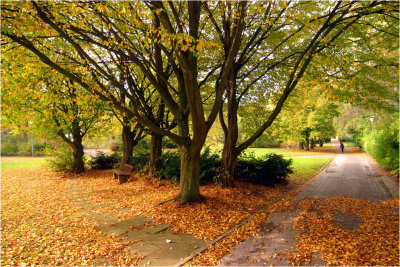 Herbst /Winter / Canon D60 / 10D