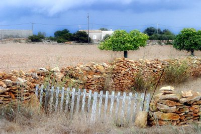 Formentera9-2009_041