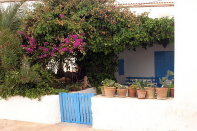 Formentera9-2009_046.jpg