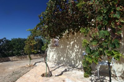 Formentera9-2009_067.jpg