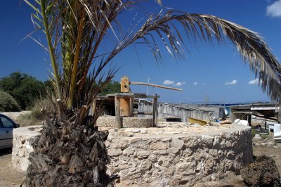 Formentera9-2009_078.jpg