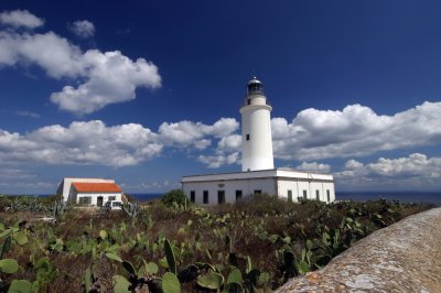 Formentera9-2009_106.jpg