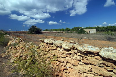 Formentera9-2009_111.jpg