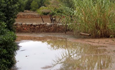 Formentera9-2009_130.jpg