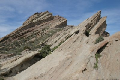 IMG_7753.jpg