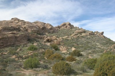 IMG_7766.jpg