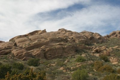 IMG_7768.jpg
