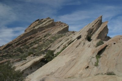IMG_7775.jpg