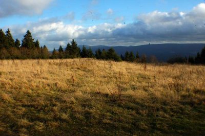 Schalker Bergplateau   Im Hintergrund ist der Brocken zu sehen