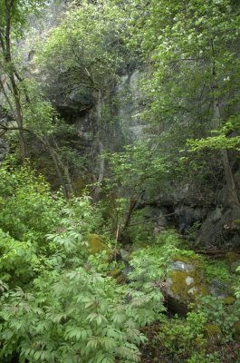 Felsen am Westufer