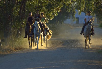Horse riding, Gambelas, Portugal